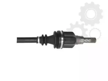 lauber-882738