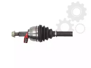 lauber-882743