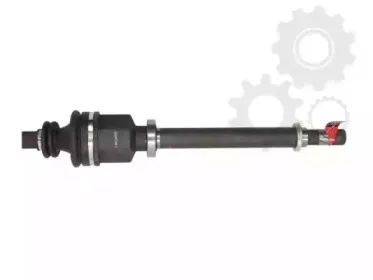 lauber-882743