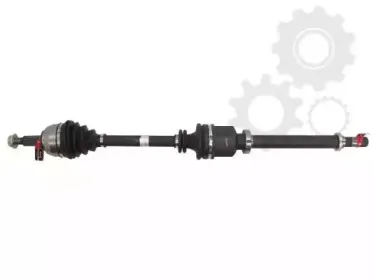 lauber-882743
