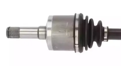lauber-882745