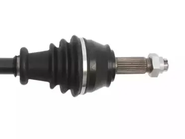 lauber-882746