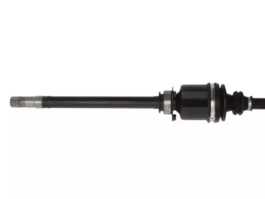 lauber-882746