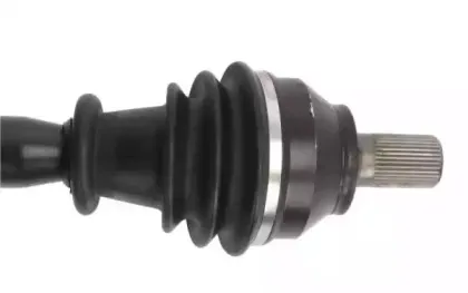 lauber-882751