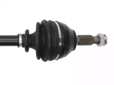 lauber-882761