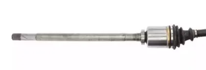 lauber-882763