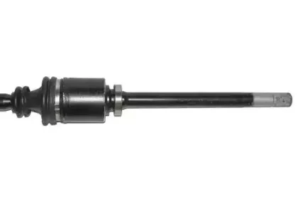 lauber-882764