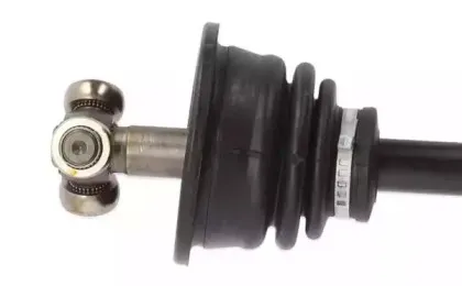 lauber-882765