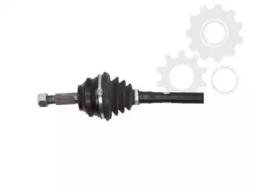 lauber-882767