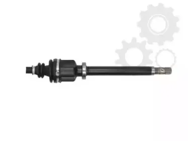 lauber-882767