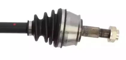 lauber-882771