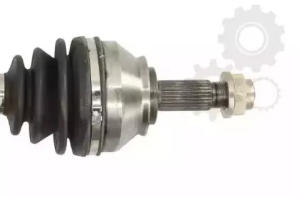 lauber-882772