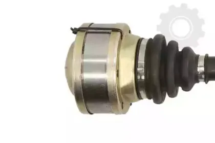 lauber-882772