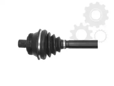 lauber-882775