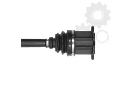 lauber-882775