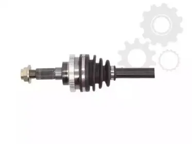 lauber-882778