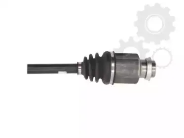lauber-882778