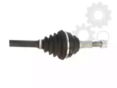 lauber-882782