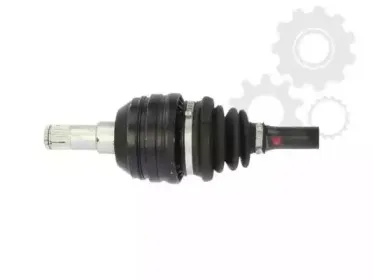 lauber-882782