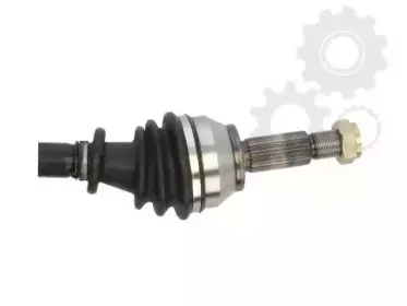 lauber-882784