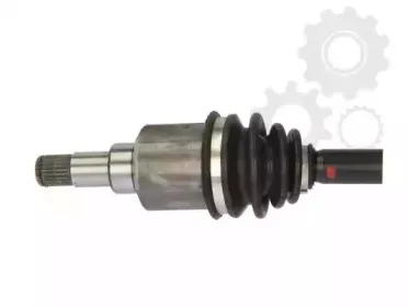 lauber-882784