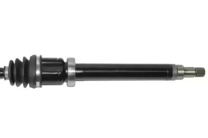 lauber-882785