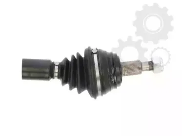 lauber-882786