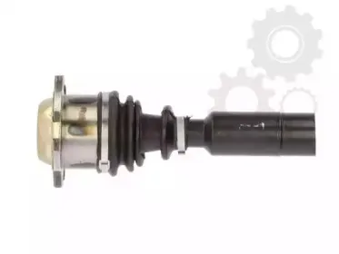 lauber-882786