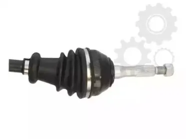 lauber-882787