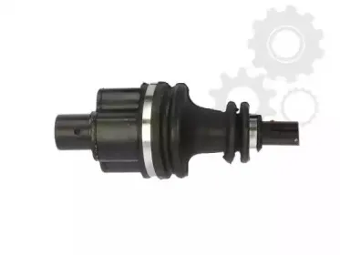 lauber-882787