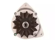 ainde-cgb83681