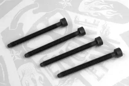 BS0008 ET ENGINETEAM Регулировочный винт, насос высокого давления