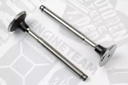 VE0003 ET ENGINETEAM Выпускной клапан
