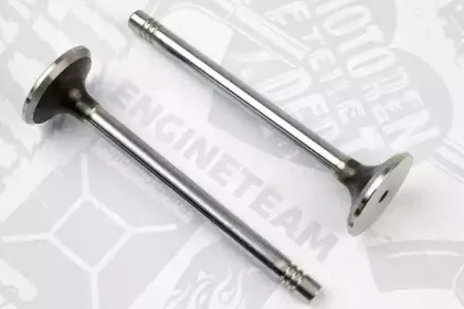 VE0013 ET ENGINETEAM Выпускной клапан