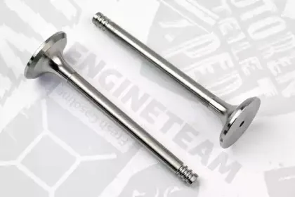 VE0023 ET ENGINETEAM Выпускной клапан