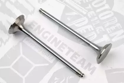 VE0030 ET ENGINETEAM Выпускной клапан