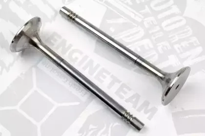 VE0032 ET ENGINETEAM Выпускной клапан