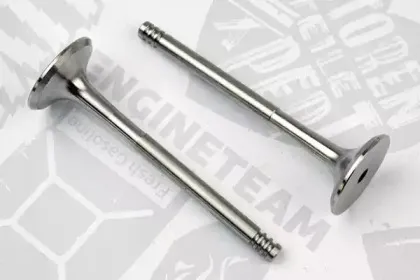 VE0034 ET ENGINETEAM Выпускной клапан