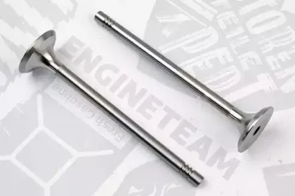 VE0038 ET ENGINETEAM Выпускной клапан