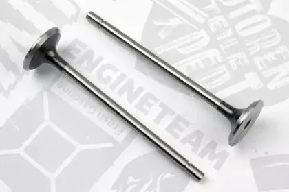 VE0039 ET ENGINETEAM Выпускной клапан
