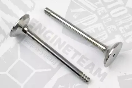 VE0040 ET ENGINETEAM Выпускной клапан