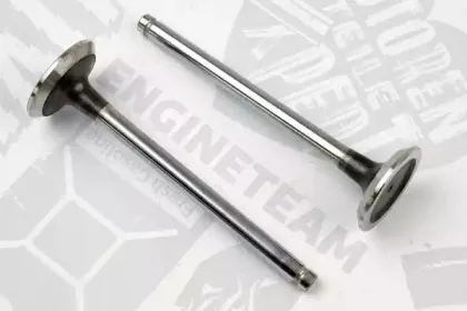 VE0044 ET ENGINETEAM Выпускной клапан