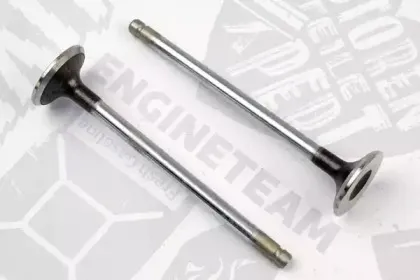 VE0045 ET ENGINETEAM Выпускной клапан