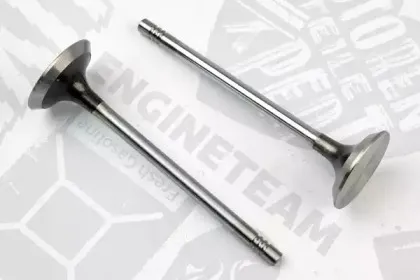 VE0051 ET ENGINETEAM Выпускной клапан
