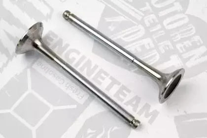 VE0053 ET ENGINETEAM Выпускной клапан