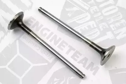 VE0054 ET ENGINETEAM Выпускной клапан