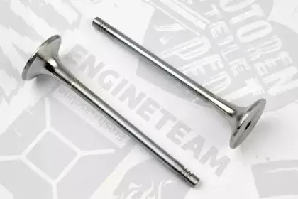 VE0059 ET ENGINETEAM Выпускной клапан