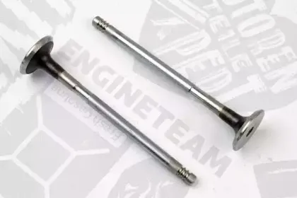 VE0060 ET ENGINETEAM Выпускной клапан