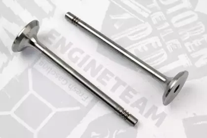 VE0061 ET ENGINETEAM Выпускной клапан