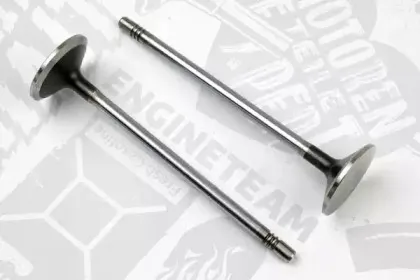 VE0069 ET ENGINETEAM Выпускной клапан